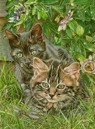 Saw it Too! - 83 hours
Daler Rowney Pastel paper
15.5" x 11.8"
Griffin & Tarka 62 days
